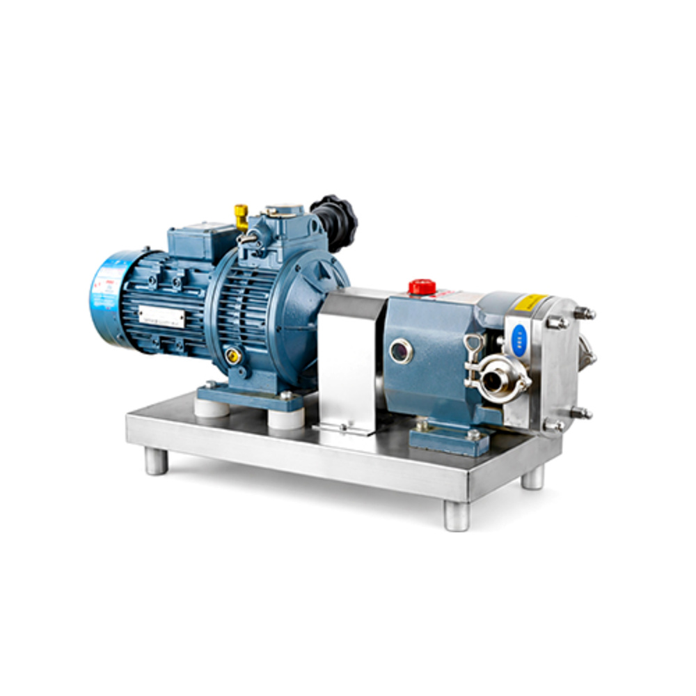 Lobe Pump